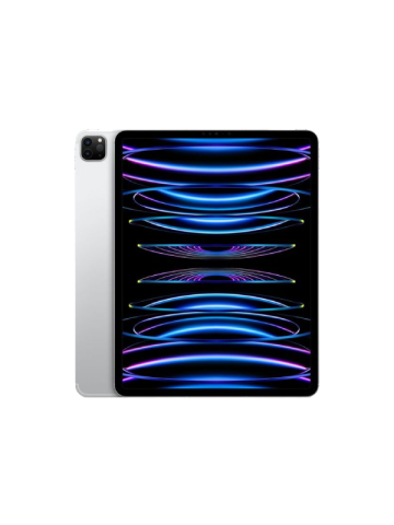 iPad Pro 13inch (6th Gen)